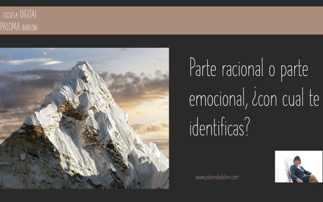 Parte RACIONAL o parte EMOCIONAL, ¿con cual te quedas?